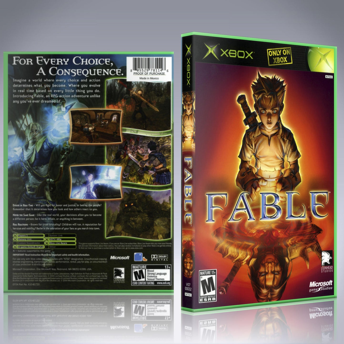 Xbox Case - NO GAME - Fable – sgtmo